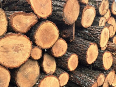 Деревина для ЗСУ: дрова для воїнів купують дорожче, ніж на ринку