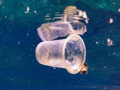 Науковці створили пластик, який повністю розкладається у морській воді