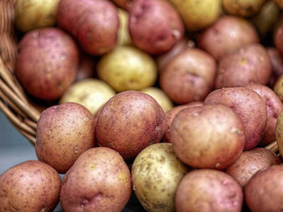Попит і ціни на картоплю в Україні знижуються