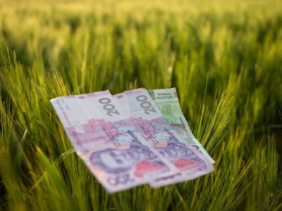 Перевершила Нідерланди: чому оренда землі в Україні обходиться дорожче, ніж у ЄС?