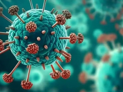 Метапневмовірус в Україні: що відомо про симптоми та ризики захворювання