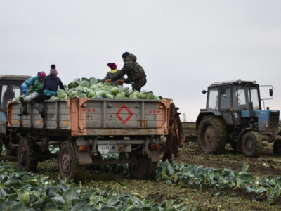 Чому наші фермери банкротують на рівному місці