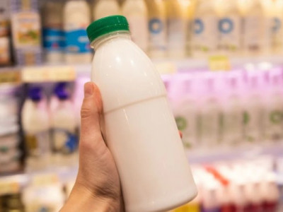 Молочна лихоманка: ціни на продукти б'ють рекорди, а купівельна спроможність українців падає!