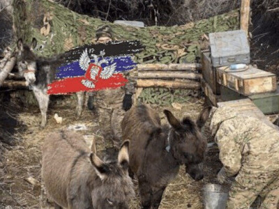 Через значні втрати техніки росіяни використовують для логістики віслюків – ЗМІ