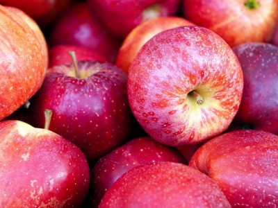 Ці українські яблука підкорюють три континенти