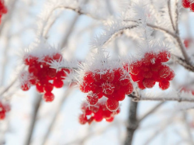 Україну скують морози: де влупить -11 градусів