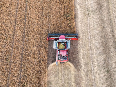 Західний Хаб МХП сплатив 401 млн грн податків у 2024 році