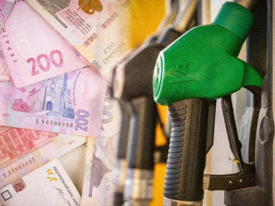 1 березня робота всіх АЗС може бути зупинена, - нардеп Южаніна