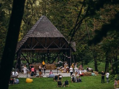 Карпатський релакс: весна пробуджує природу, а Воєводино - вашу душу