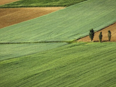 Які податки потрібно сплатити під час продажу землі в Україні