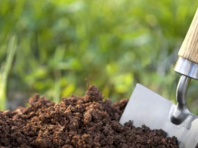 Чим удобрити ґрунт на городі навесні: корисні поради