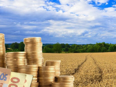 Вартість 1 га землі в Україні перевищила 57 тисяч гривень