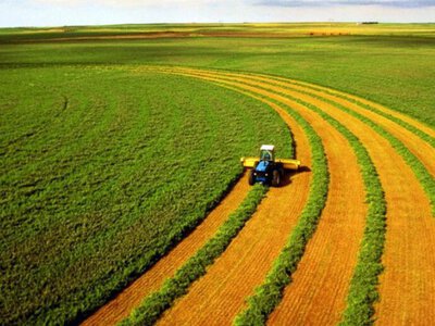 Земля - нове золото: як вигідно купити ділянку у 2025 році?