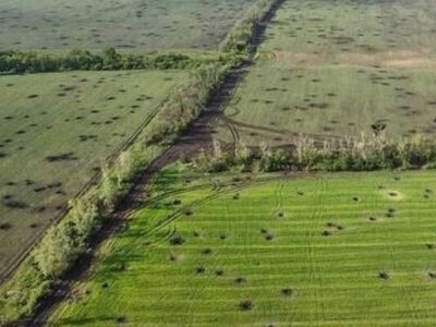 Україна з початку повномасштабної війни втратила 20,5% своїх сільгоспземель