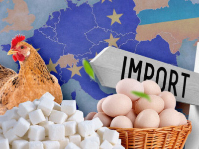 Європа потребує імпорту українського цукру та курятини