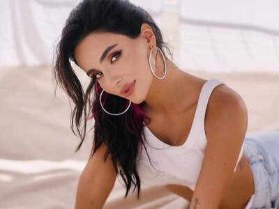 “Щиро прошу вибачення”: продовження скандальної історії з Анною Трінчер та Бережанами