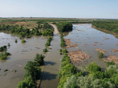 Фермерські проблеми у регіон Каховського водосховища: нестача води та низька урожайність