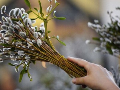 Заборони у Вербну неділю 2025: що не можна робити