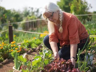7 овочів, які потрібно посадити у квітні