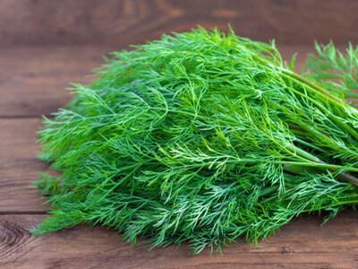 Афера на кропі: як на звичайному кропі заробляють сотні тисяч і руйнують агрострахування в Польщі