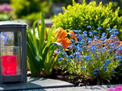 Якими рослинами краще прикрашати могили замість штучних квітів