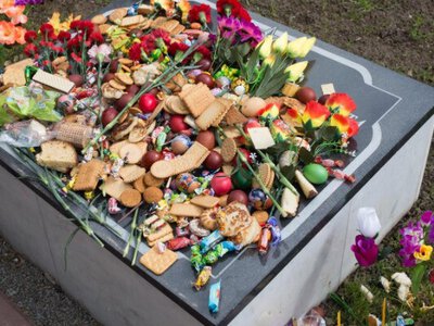 Ось що було далі із солодощами залишеними на могилах в поминальну неділю