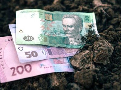 Ціна паю: на скільки здорожчала земля