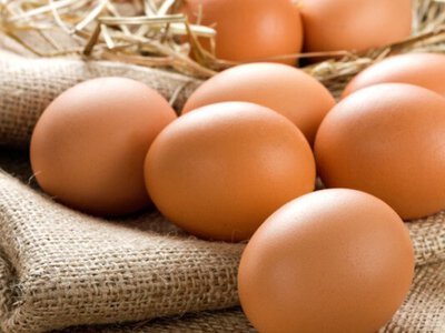 Україна почне експорт в Канаду харчових яєць
