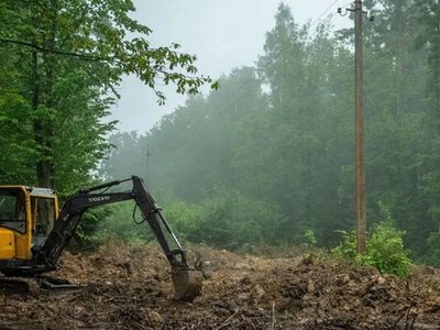 Ексгумація на місці поховань у 1945 році поляків у Пужниках на Тернопільщині: знайшли останки близько 30 осіб