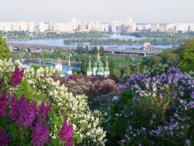 Бузок, півонії, магнолії, рододендрони: що квітне у Києві на початку травня 2025 (фото)