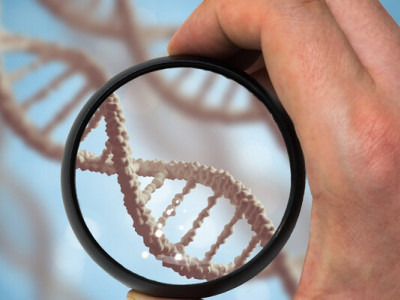 В Україні запускають ДНК-базу даних родичів зниклих дітей