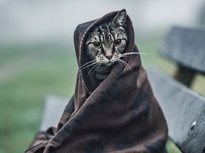 Циклони з північного заходу охопили Україну: коли потепліє?