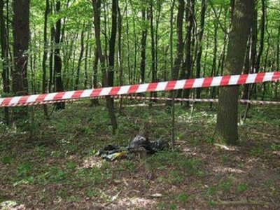 Шокуюча знахідка у лісі! Чоловік не очікував такого побачити під час прогулянки