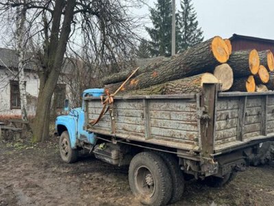Поліцейські завершили досудове розслідування відносно крадіїв деревини