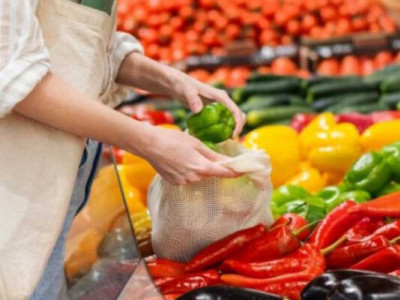 Тепличники України замістили 50% довоєнного врожаю Херсонщини