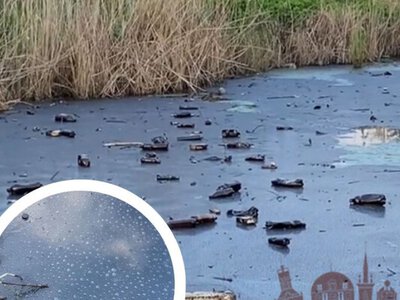 Екологічна катастрофа в Запоріжжі: річка Мокра Московка вкрилася шаром мазуту (відео)