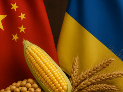 Експортерам рослинної продукції: важлива інформація щодо фітосанітарних обстежень на 2025 рік