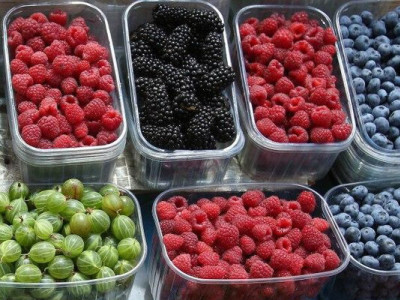 Ринкова ціна на ягоди в Україні зросла на 35%