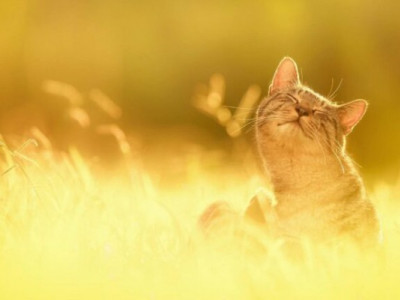 Напередодні літа. Синоптики дали несподіваний прогноз