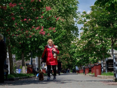 Що зміниться в Україні від 1 червня — нові ліміти на перекази, ВЛК, техогляд