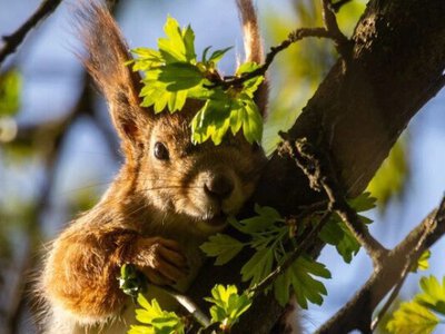 Прогноз погоди в Україні на вихідні