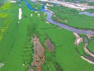 На Херсонщині замість Каховського водосховища запропонували створити заповідник