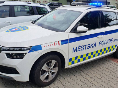 У Брно собака покусала велосипедистку на тротуарі — винними можуть визнати обох