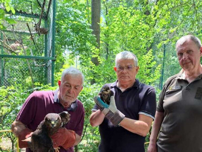 В Одесі з ресторану вилучили хижих птахів та передали до зоопарку: деталі