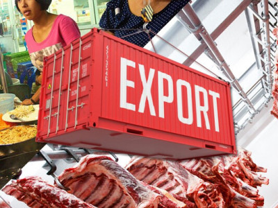 Україна наростила експорт яловичини в умовах глобального скорочення виробництва