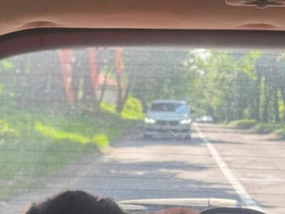 У Львові на вулицю викинули цуценят