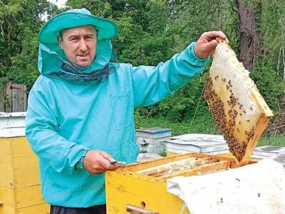 Історія переселенців, які врятували свою велику пасіку від війни