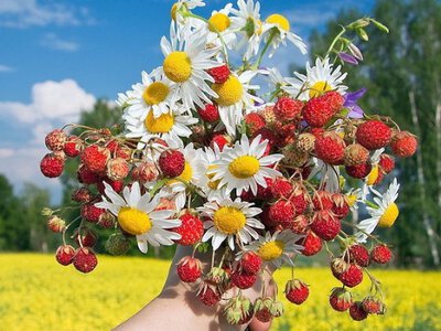 Коли потеплішає в Україні: синоптики озвучили прогноз