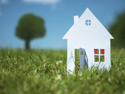 Ціни на землю вкотре переписали: скільки тепер коштує гектар