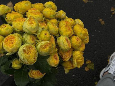 Конфлікт затягнеться надовго: чого уникати сьогодні, щоб зберегти гарні стосунки